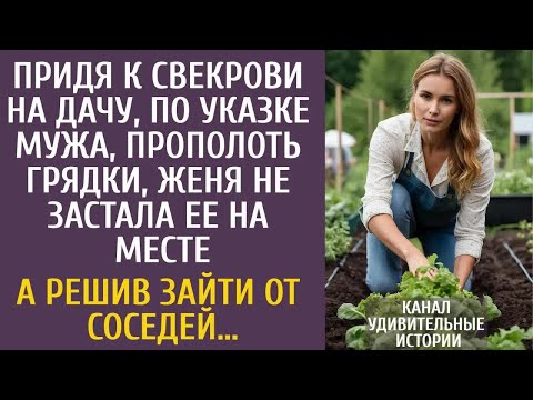 Придя к свекрови на дачу прополоть грядки, Женя не застала ее на месте… А решив зайти от соседей…