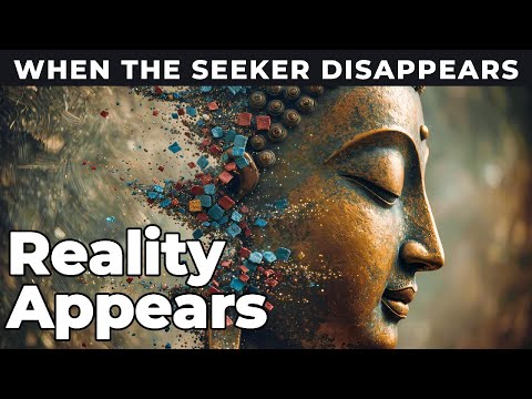 When the Seeker Disappears, Reality Appears | A Buddhist Perspective