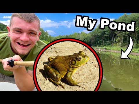 Let's Go Frog Gigging in My Pond!