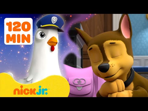 PAW Patrol Pups Have Weird Dreams! #2 w/ Chase & Chickaletta | 2 Hours | Nick Jr.