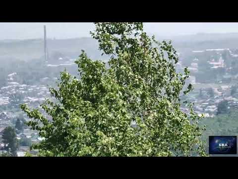 Посёлок Первомайский Забайкальского края