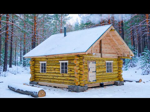 I Built a Log Cabin in The Woods in 300 Days With No Experience