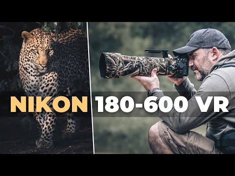 Nikon Z 180-600mm VR: Best Wildlife Lens Ever? (Wildlife Photography Review)