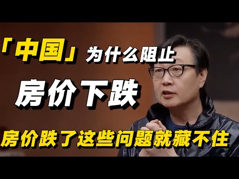 【太敢说了】中国为什么阻止房价下跌？专家直言：房价要是跌了，这些问题就全都爆出来了！#许子东 #窦文涛 #马家辉 #房价 #中国房价 #经济 #经济下行 #经济危机 #买房 #房产投资