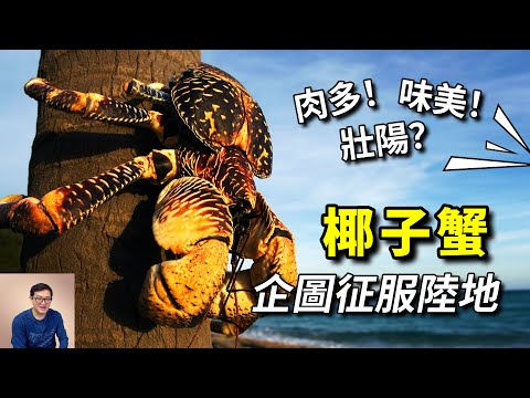 生於海洋，妄圖征服陸地，大鬧人類營地的椰子蟹，遭遇隱形天敵！【老肉雜談】#動物 #海洋生物 #海鮮 #螃蟹 #椰子蟹 #crab