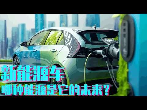 New energy emerge in an endless stream  lithium batteries  hydrogen fuel cells  who is the future o