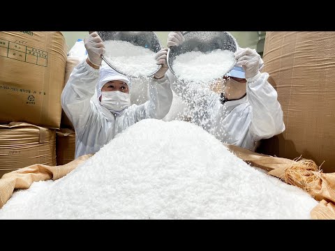 Amazing natural salt production process at the largest salt factory in korea - Korean food factory