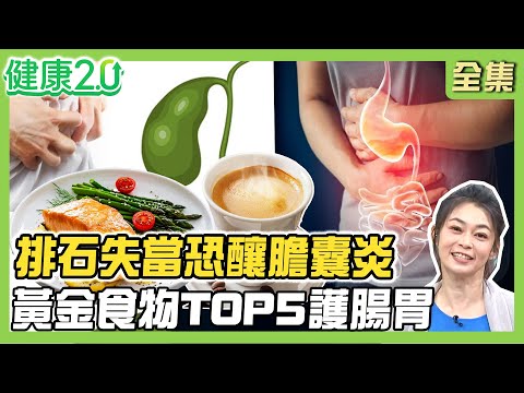 膽結石是吃出來的 右上腹痛是警告！自然療法排石失當恐釀膽囊及胰臟炎！隋棠4早餐養好體態 黃金食物TOP5護腸胃！健康2.0 20250517【完整版】#鄭凱云#朱光恩#王健宇#陳麗華#宋明樺 #王明勇