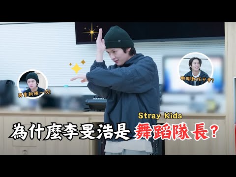 Stray Kids / 李旻浩：為什麼是舞蹈隊長? 【S-class INTRO Dance Practice🐰教學片段】