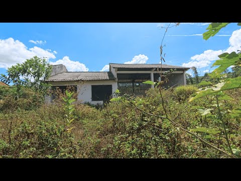 From Overgrown to Stunning! Free Abandoned House Yard Cleanup