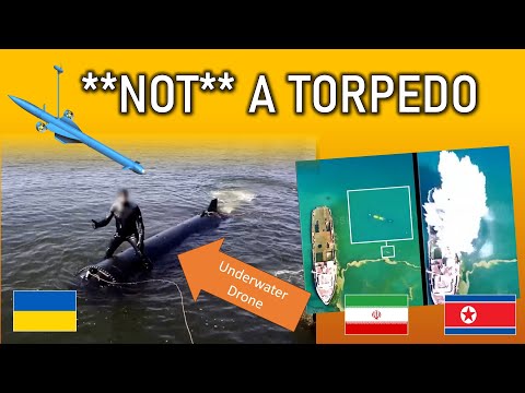 A New Weapon Of War: Killer Underwater Drones