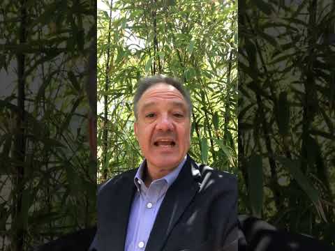 Learn about sake through the Sake Professional Course live online evenings in May!