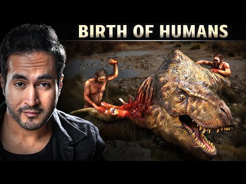 How Dinosaurs went Extinct and Humans were Born