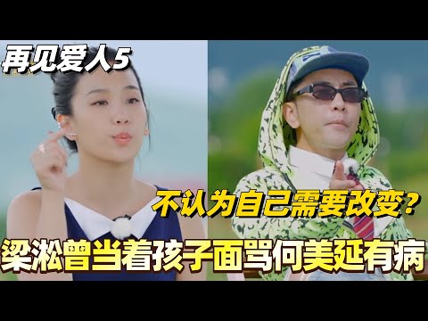 #再见爱人5 梁淞曾当着孩子面骂何美延有病？不认为自己需要改变反骂老婆有“精神病”？！#梁淞 #何美延 #综艺 #婚姻