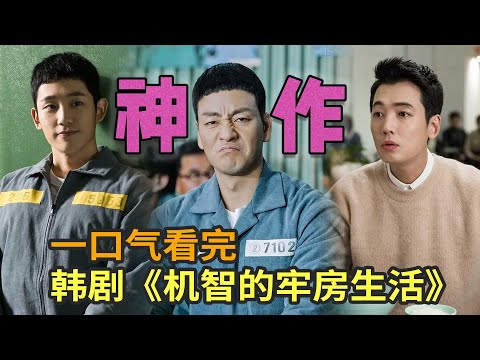 棒球巨星惨遭入狱，却与监狱好友上演温情故事，高分韩剧《机智的监狱生活》一口气看完