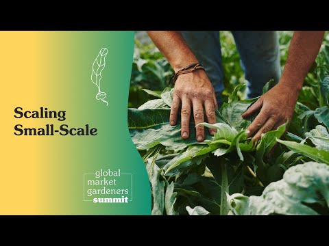 Scaling Small-Scale With JM Fortier