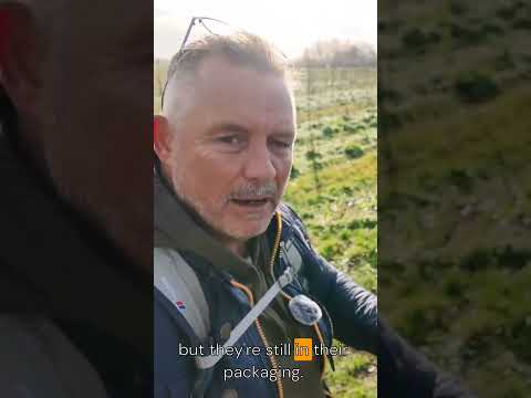 Letting Go of 30 Years of Attachments #emotional #personalgrowth #wisdom