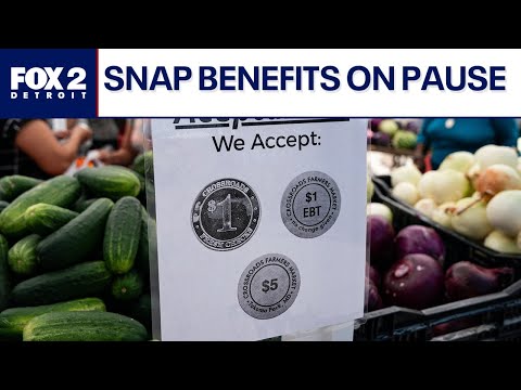 SNAP benefits pause in Michigan amid shutdown impacts