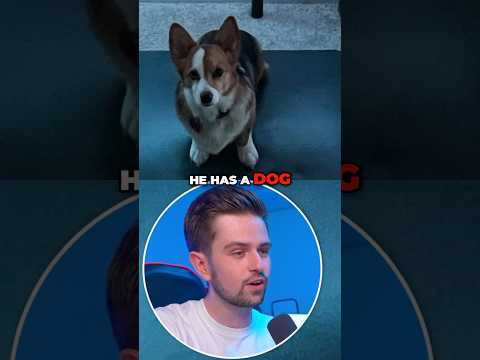 The Dog Or The Setup?