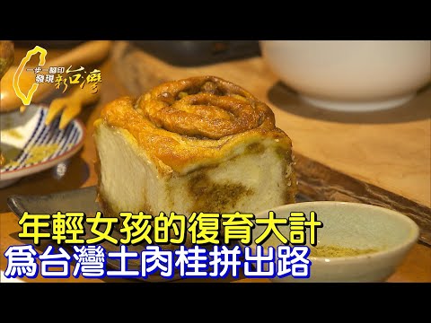【三峽】人氣土肉桂捲.復育台灣土肉桂讓家鄉茶園有新出路∣一步一腳印【堅持復育台灣土肉桂】20220123