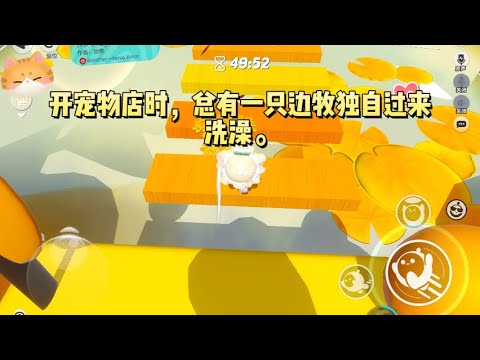 开宠物店时，总有一只边牧独自过来洗澡。我以为它是流浪狗，准备给它发布寻主启事。这时眼前飘来一片弹幕#一口气看完 #小说 #故事