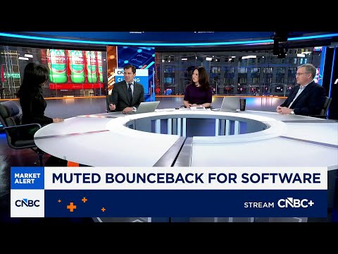 Pain in software may continue, says iCapital's Basak