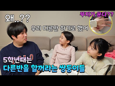 5학년때는 같은반 안하고 다른반 한다는 뚜아뚜지.. 이를 들은 아빠의 찐반응은?? 그런데 뚜지는 왜 울어?? 반전주의;; 가족일상 브이로그 | 뚜아뚜지TV