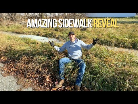 ABANDONED lot UNCOVERED - years of OVERGROWTH GONE!!