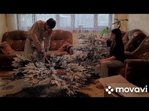 ԼԻԼԻԹԻ ՏՈՆԱԾԱՌԸ / ԻՉՔԱՆ ՈՒՐԱԽԱՑԱՎ ԼԻԼԻԹԸ...