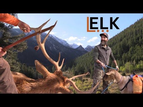 Bow Hunting ELK in the Idaho Wilderness / Primitive BowHunting / Stone Points