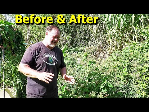 The REALITY of Maintaining a LARGE Food Garden