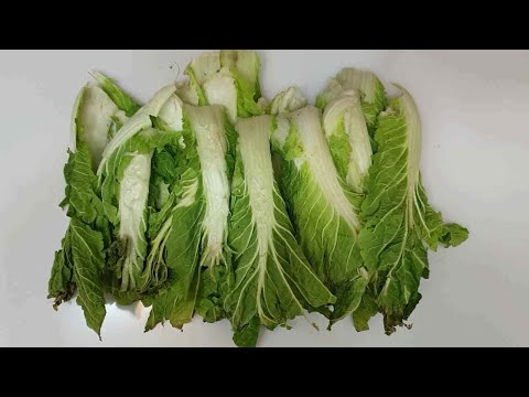 배추시레기를 이렇게 했더니 맛있다고 동네사람 다 모여들었습니다