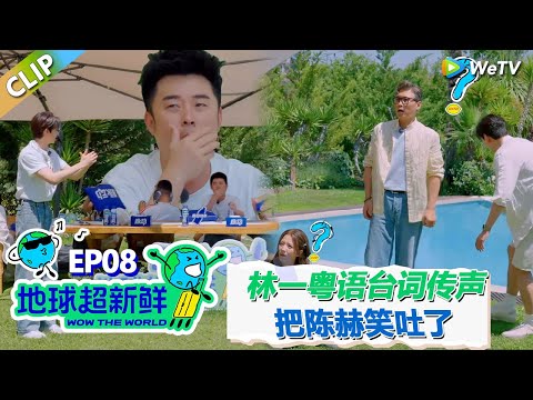 【地球超新鲜CLIP】：地球团粤语台词传递！林一粤语台词把陈赫笑吐了，李乃文陈星旭一脸懵！#刘宇宁 #龚俊 #陈赫 #李乃文 #孙红雷