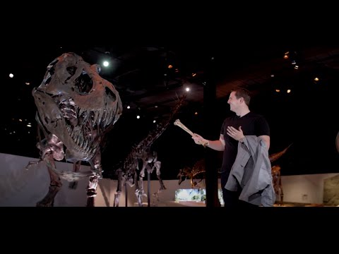 HMNS Magician Ben Jackson - All Commercials