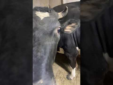 Субботний вечер