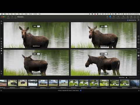 Intro to Nitro for macOS