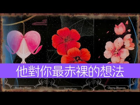 他對你最赤裸的想法！絶對不敢跟你説的事  |曖昧|愛情|戀愛|桃花|塔羅占卜|