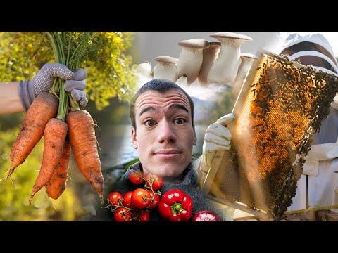Becoming a Homesteader in 2023? - Beekeeping, growing veg, mushrooms and cooking