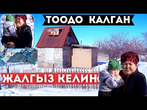 Жалгыз аялды кимдер коркутту?