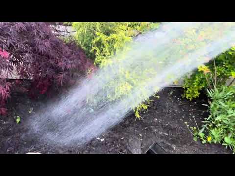 Watering to my garden 🪴 so different now and before! 