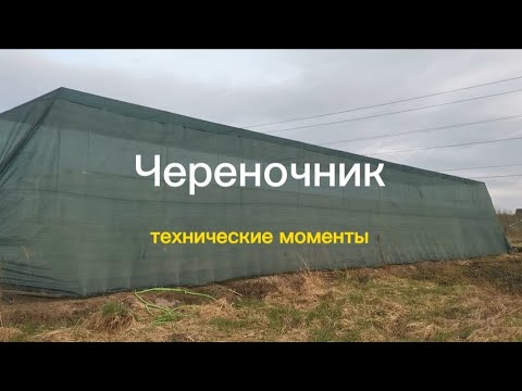 Оборудуем череночник