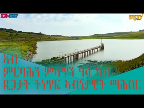 ኣብ ምርባሕን ምሻጥን ዓሳ ካብ ዲጋታት ትነጥፍ ኣብነታዊት ማሕበር - መደብ ካብ ጸጋታት ባሕርና - Fishing at the Eritrean Dam - ERi-TV