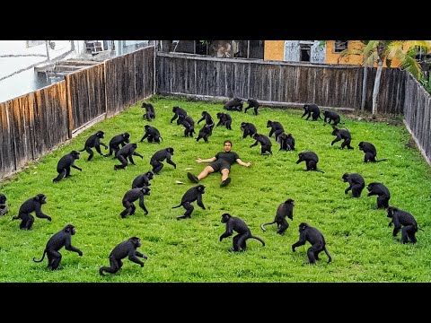 Wenn Tiere denken, dass niemand zusieht 😂 Hinterhof-Edition