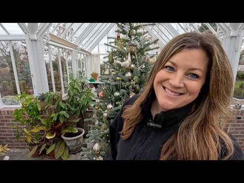 Update & Revamp of 2 Older Succulent Arrangements & Lisianthus Raised Bed Clear Out! πͺ΄βοΈπ΅