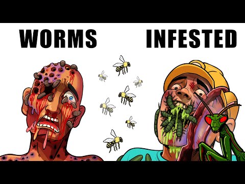 The Most PAINFUL Cave Deaths in Insect-Infested Tunnels