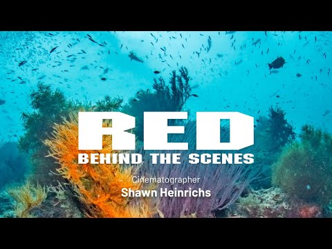 RED BTS | DP Shawn Heinrichs | Raja Ampat