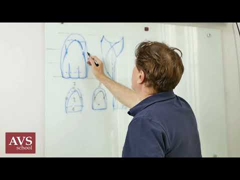 Морфология передних и боковых зубов