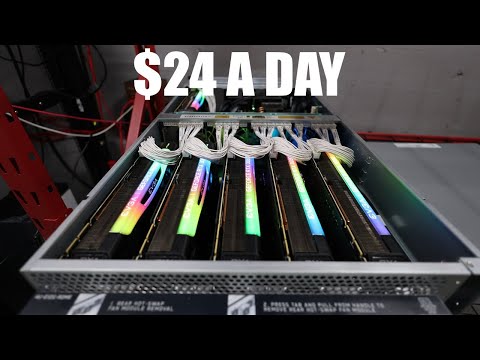 How much money am I making a day with this GPU "Ai" Server?