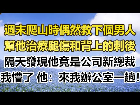 週末爬山時偶然救下個男人，幫他治療腿傷和背上的刺後，隔天發現他竟是公司新總裁，我懵了 他：你來我辦公室一趟！#幸福敲門 #為人處世 #生活經驗 #情感故事
