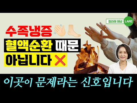 손발 차가운 수족냉증! 혈액순환 문제가 아닙니다. 수족냉증 치료법 [정라레]